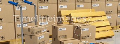 Storage warehouse with packaged goods