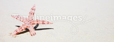 Red starfish on tropical beach