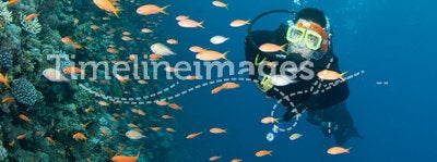 Scuba diver and colorfull fish