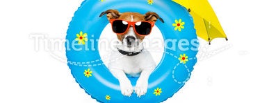 Dog sunbathing with air mattress
