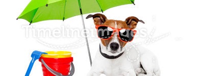 Dog sunbathing with umbrella