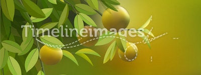 Vector background with branches lemons