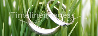 Wedding rings in the grass