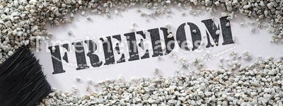 Freedom -- treasure word series