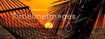 Palm, hammock and sunset