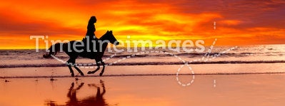 Silhouette of the girl skipping on a horse