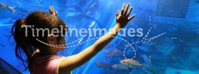 Child in aquarium
