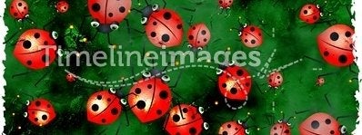 Grunge ladybugs