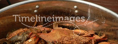 Crab - cooked blue crabs 9
