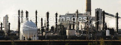 Petrochemical plant
