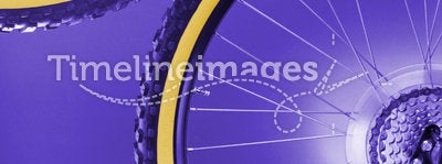 Bike's wheels