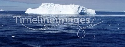 Iceberg VIII