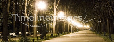 Walk in park at night