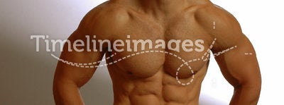 Strong male abs