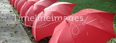 Umbrellas in a line