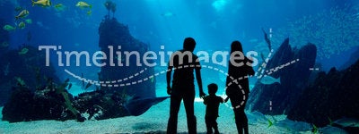 Underwater family