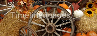Harvest scene