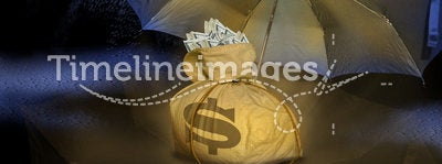 Money bag under umbrella