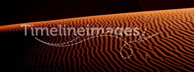 Abstract desert