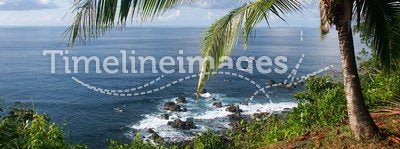 View of the ocean with palmtree
