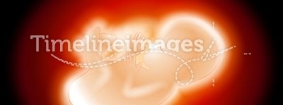 Fetus in Womb Red Glowing Uterus