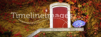 Wine Cellar Vine Covered Door