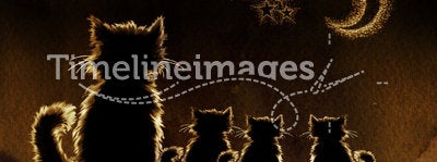 Cats in night