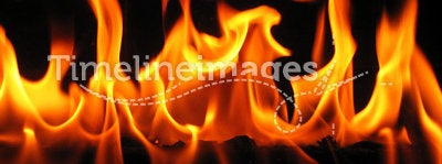 Flames coming from a log