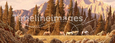 Wild Horses in the Rockies