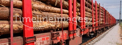 Biomass transport