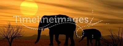 March of The Elephants At Sunset