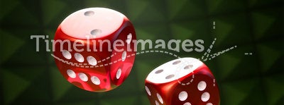 Rolling the Dice