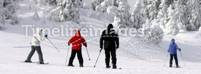 Family Skiing Downhill