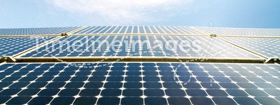 Solar panel modules in the sun