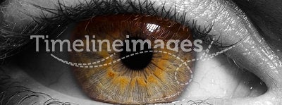 Eye closeup (B&W)