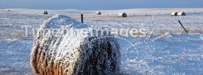 Snow Covered Bale in Field
