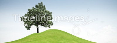 Tree on a green grass hill