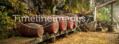 Wine barrels. Madeira