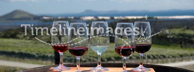 Wine Tasting - Vineyard