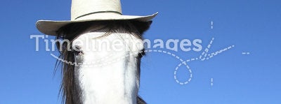 Horse with straw hat