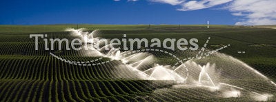 Irrigation on farm