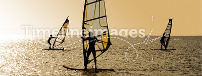 Silhouettes of windsurfers