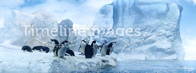 Penguins on melting ices floe