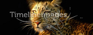 Leopard portrait