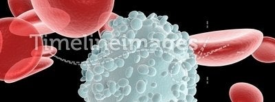 Blood cells and leukocyte