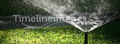 Sprinkler on the grass