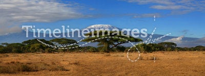 Kilimanjaro Wide