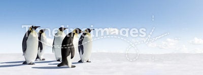 Emperor Penguins in snow scene