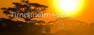Safari jeep driving through savannah in the sunset