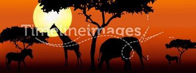 African animals in sunset